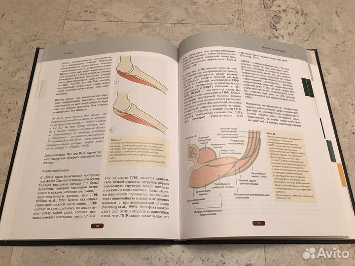 Фасция, Дэвид Лесондак