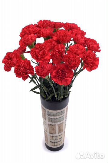Цветы. Гвоздика оптом
