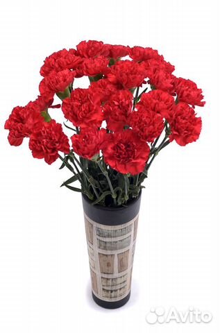 Цветы. Гвоздика оптом