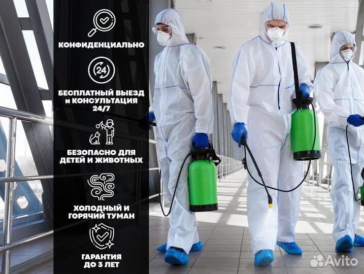 Уничтожение клопов, тараканов, мышей