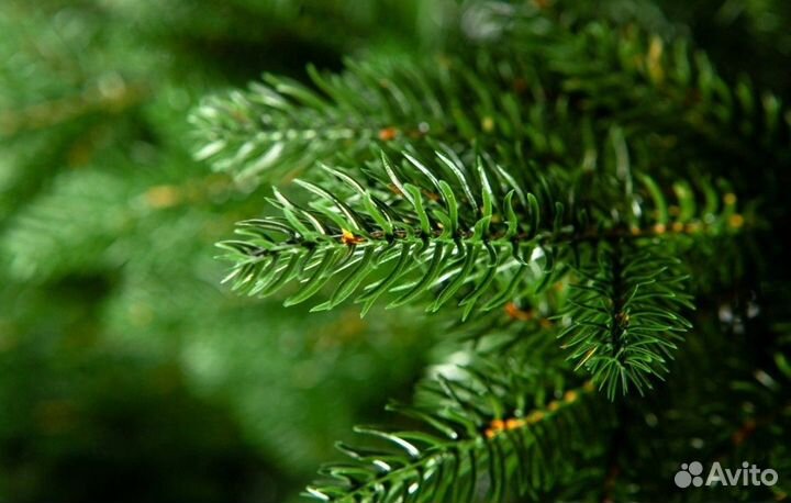 Искусственная Ель версальские огни