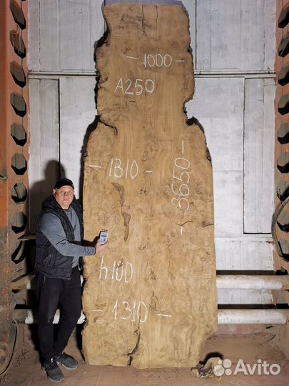 Слэбы из дерева, карагач, бук, граб, тополь