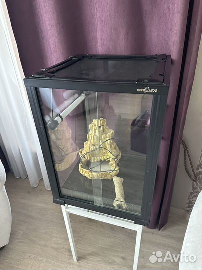 Террариум для рептилий бу