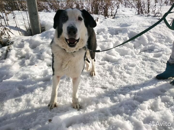 Мы одна команда