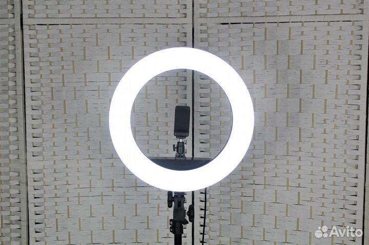 Кольцевая лампа