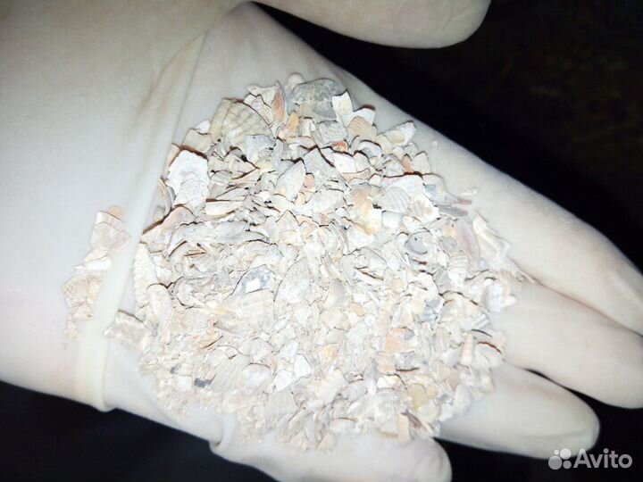 Ракушка Каспийская кормовая высший сорт