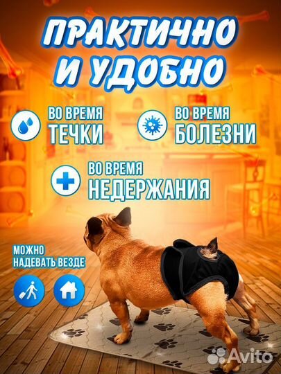 Трусы для собак при течке