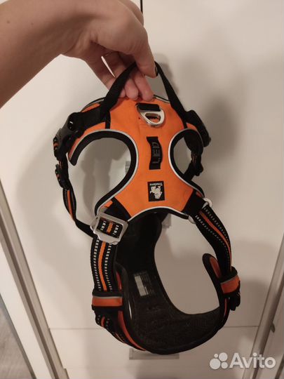 Шлейка и поводки для собак