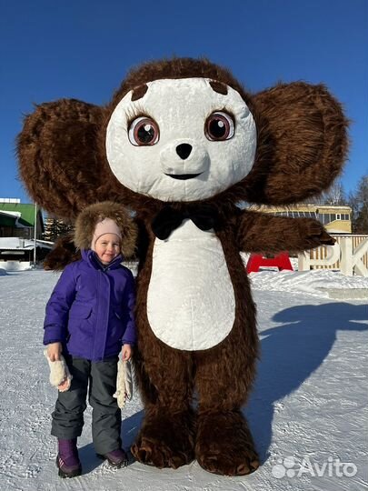 Белый мишка поздравление аниматор