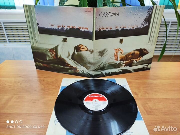Виниловые пластинки Caravan