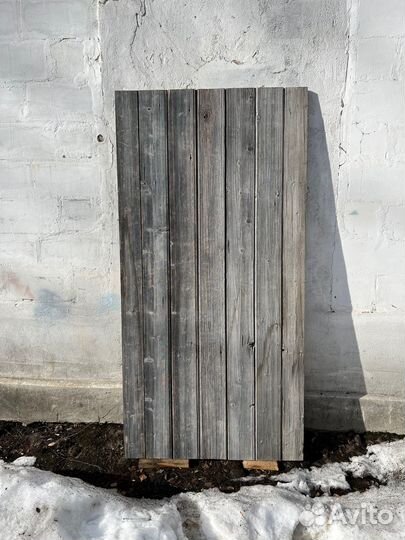 Фотофон дерево