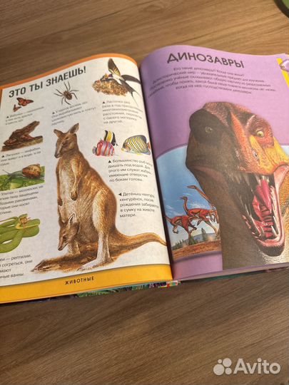 Детская энциклопедия