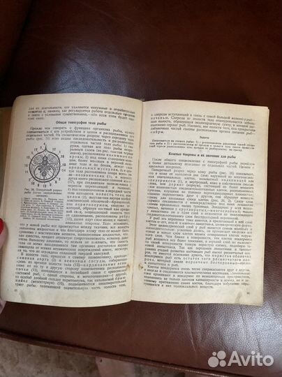 В.К. Солдатов « Промысловая ихтиология» 1934 г