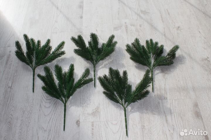 Еловые ветки, еловые лапки зеленой ели