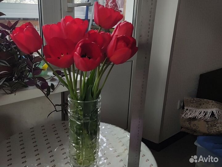 Красные тюльпаны, цветы