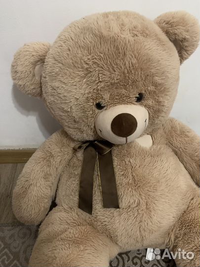 Плюшевый медведь