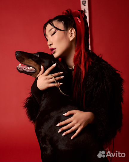 Фотосессия с доберманом