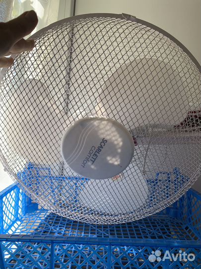 Вентилятор напольный