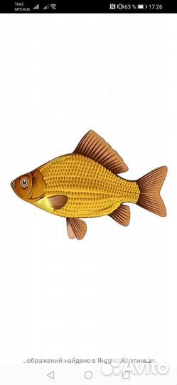 Живец для рыбалки