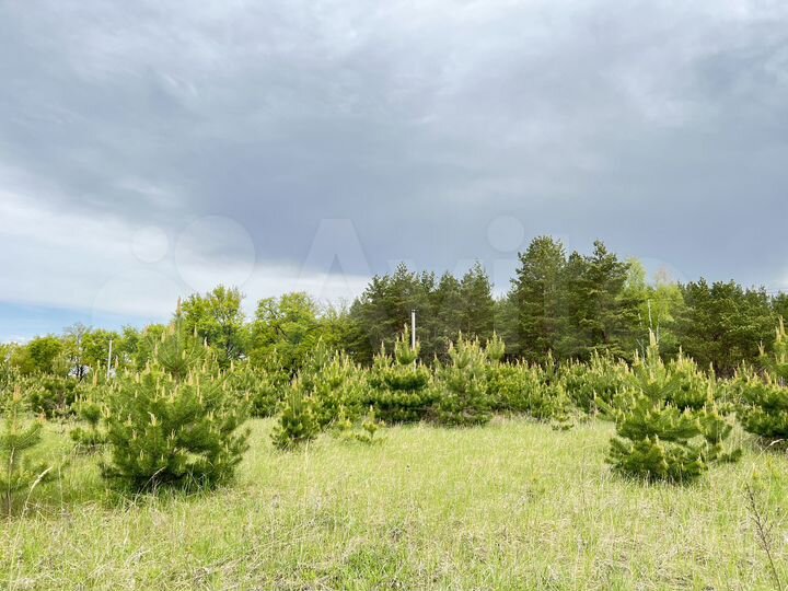 Участок 10 сот. (ИЖС)