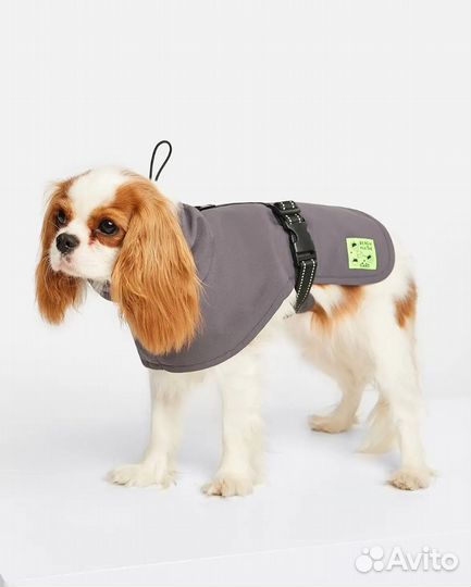 Одежда для собак