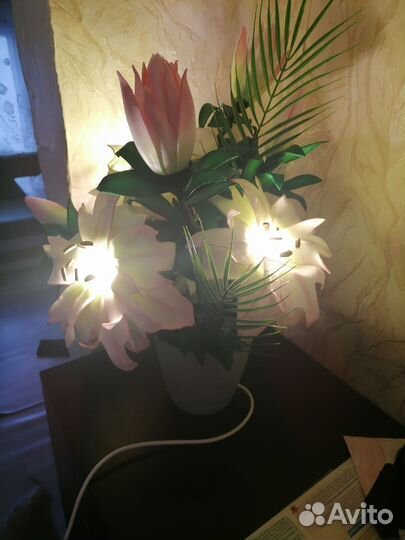 Гиппиаструм