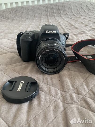 Зеркальный фотоаппарат nikon eos 200d