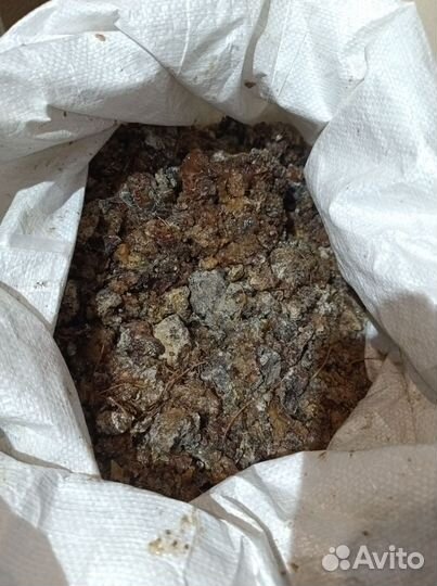 Живица кедровая опт,розница