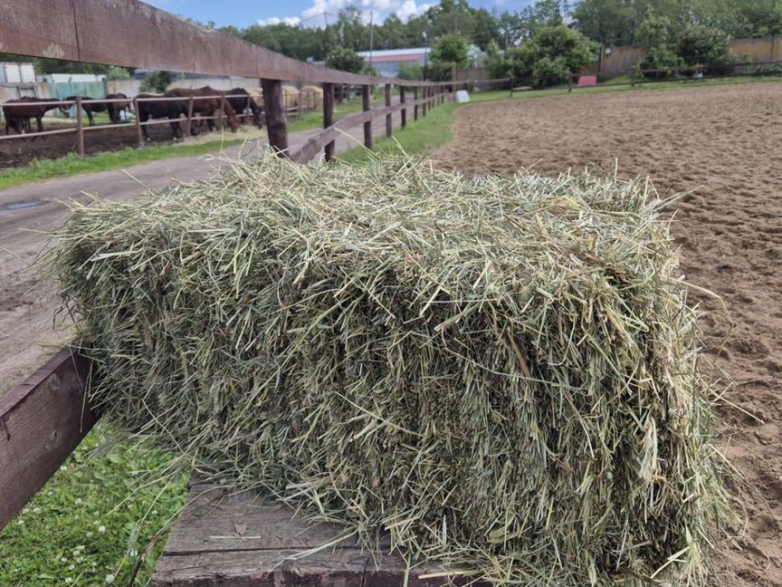 Сено в кипах