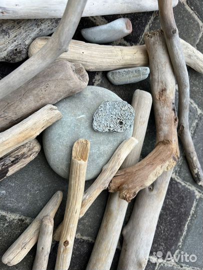 Природные материалы для творчества