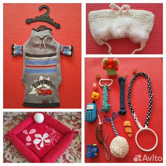 Лежанки/Одежда/Ошейники/Игрушки