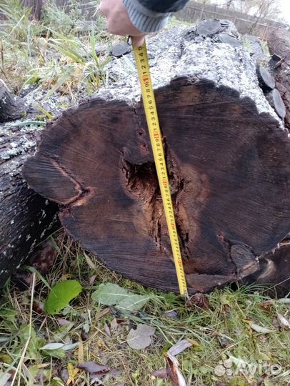 Колода для рубки мяса дубовая