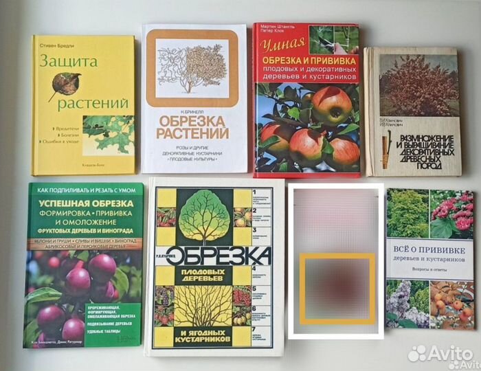 Обрезка деревьев Кудрявец Брикелл садоводство