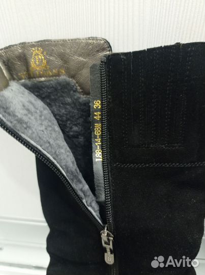 Сапоги женские, замшевые