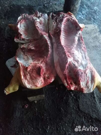 Продукты питания