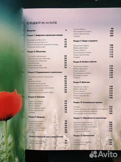 Композиция в цифровой фотосъемке (Крис Раттер)