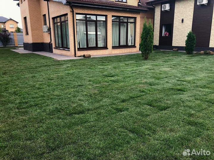 Рулонный газон, укладка, продажа