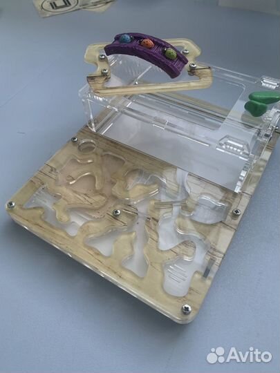 Муравьиная ферма, формикарий