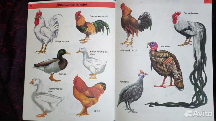 Серия тонких книг 