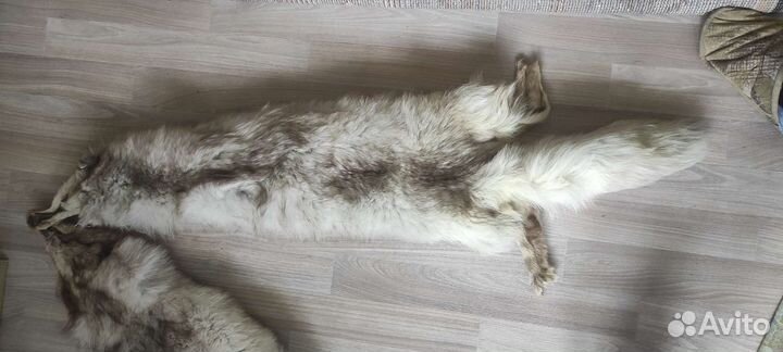 Шкурки песца