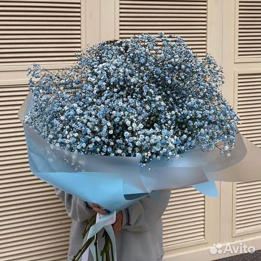 Букеты из Гипсофилы. Доставка/Самовывоз