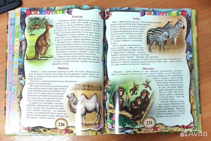 Большая энциклопедия дошкольника