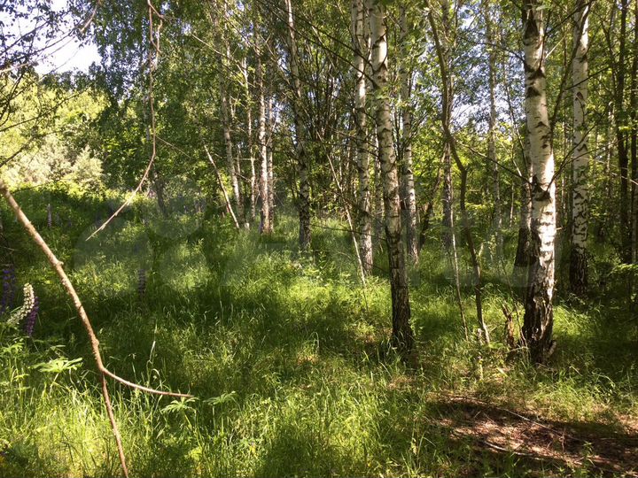 Участок 10 сот. (СНТ, ДНП)