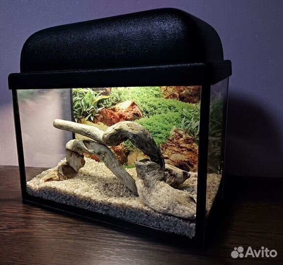 Новые настольные аквариумы