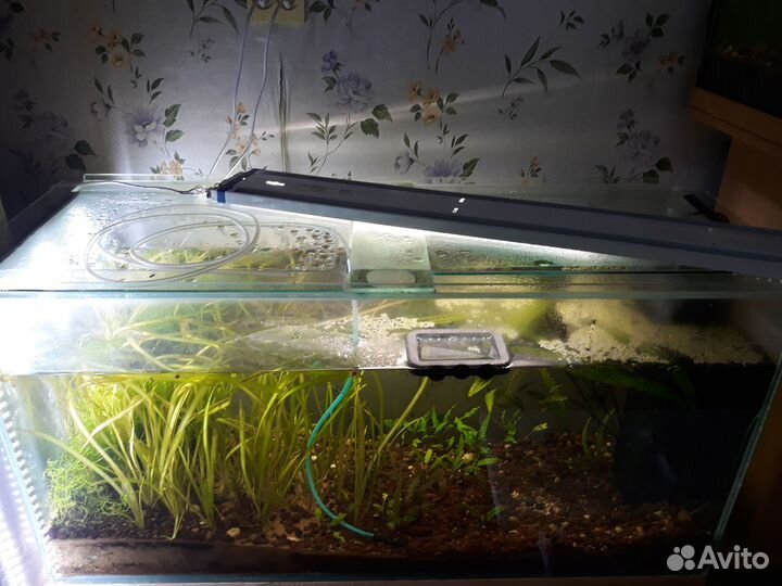 Фильтры Juwel Bioflow 3.0/M 500л/ч