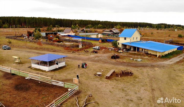 Козья ферма