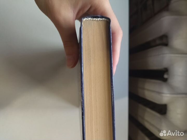 Книга по истории Канун Второй мировой войны