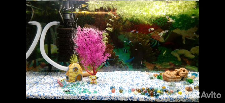 Аквариум 120 л с рыбками и аксессуарами