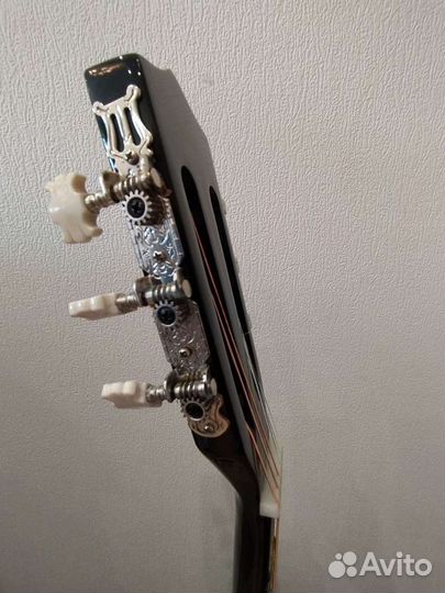 Гитара белучи