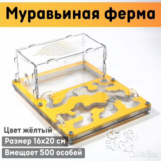Муравьиная ферма 